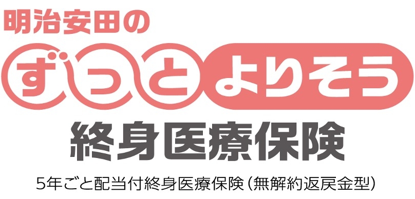 一時金給付型終身医療保険